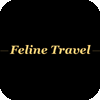 Feline Travel